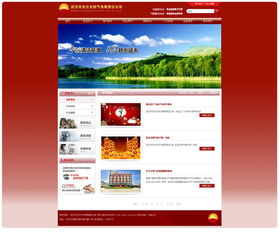 武漢市東方燃?xì)庥邢挢?zé)任公司