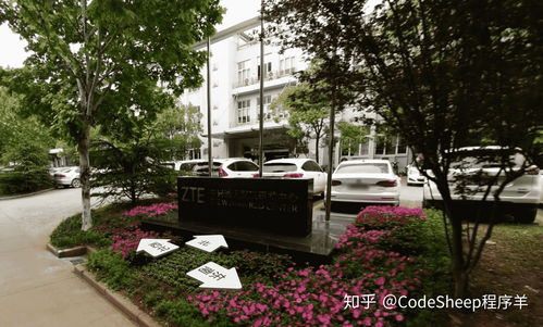 武漢有哪些優(yōu)秀的互聯(lián)網(wǎng)公司