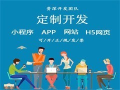 武漢網(wǎng)站推廣