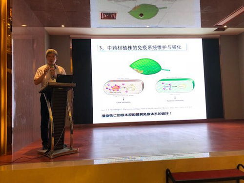 生態種植 藥最網