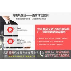 武漢做網站公司