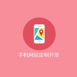 武漢網站定制開發 定制開發的好處