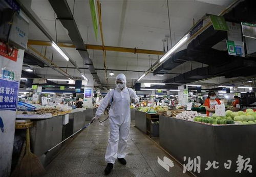 武漢農(nóng)貿(mào)市場強化防疫消殺，助力網(wǎng)站開發(fā)優(yōu)化城市管理